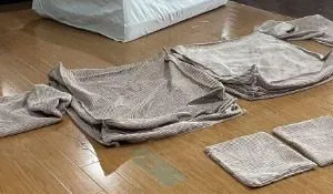 Sheath-Folding ภาพที่ 2